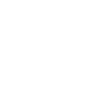 LS_Logo_white